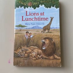 Magic Treehouse Book 11