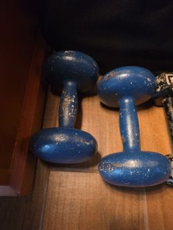 20 and 10 lb Cast Iron Dumbbells Pair Blue