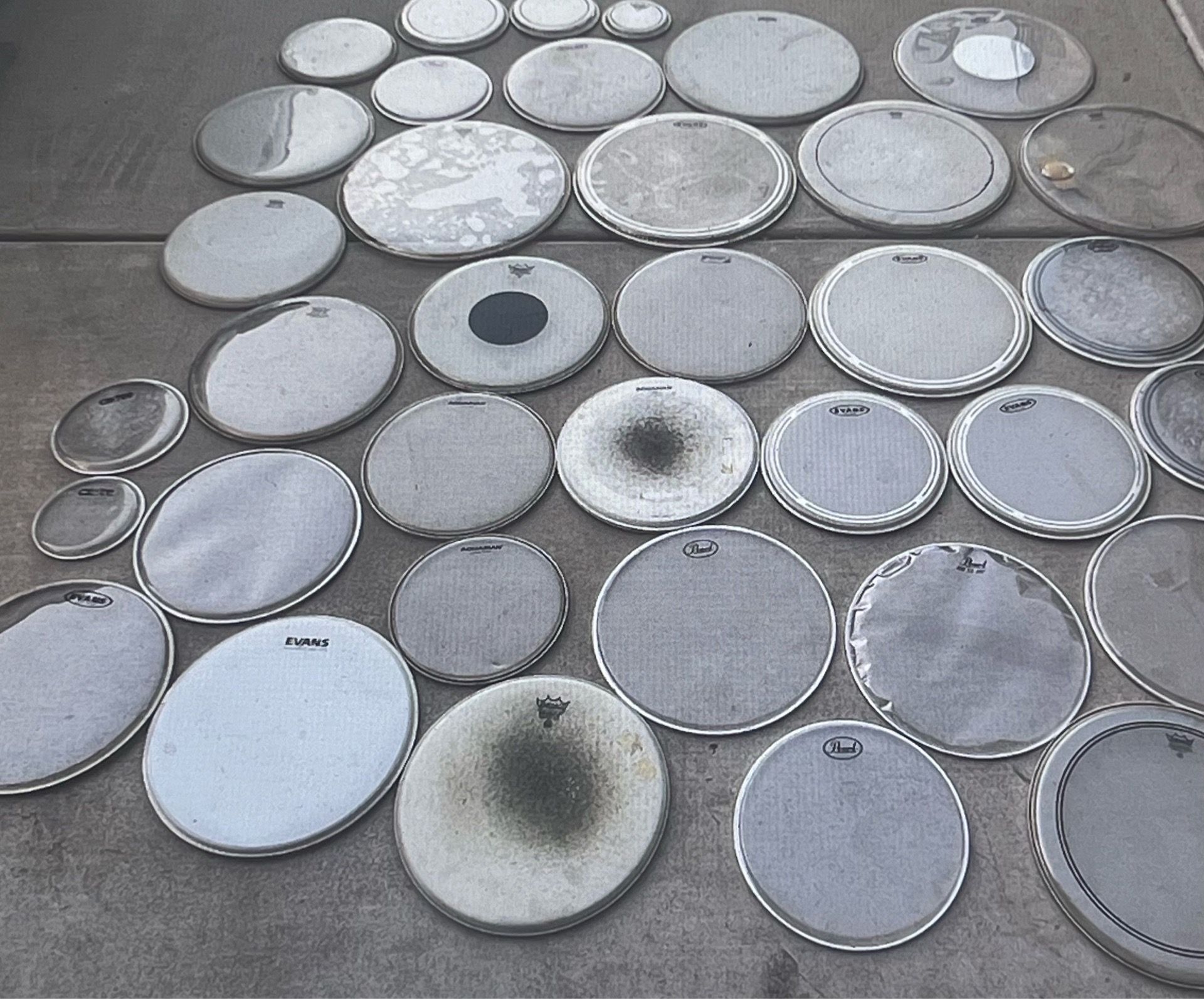 Drum Head Collection - All Sizes and Brands