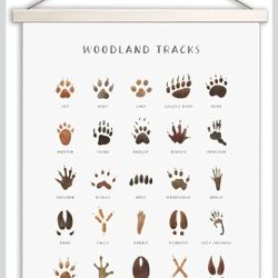 Fcimu Woodland Tracks Hanging Poster, Canvas Artwork - Forest Animal Tracks Field Guide Sign, Boy & Jungle Nursery Wall Decor - 16x20 Inch 1
