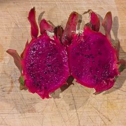 Rooted Red Dragon Fruit For Sales