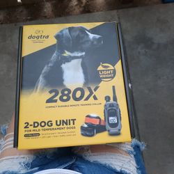 Training Collar System