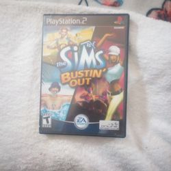 The Sims Busting Out 