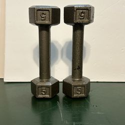 5 lb Dumbbell Weight Set