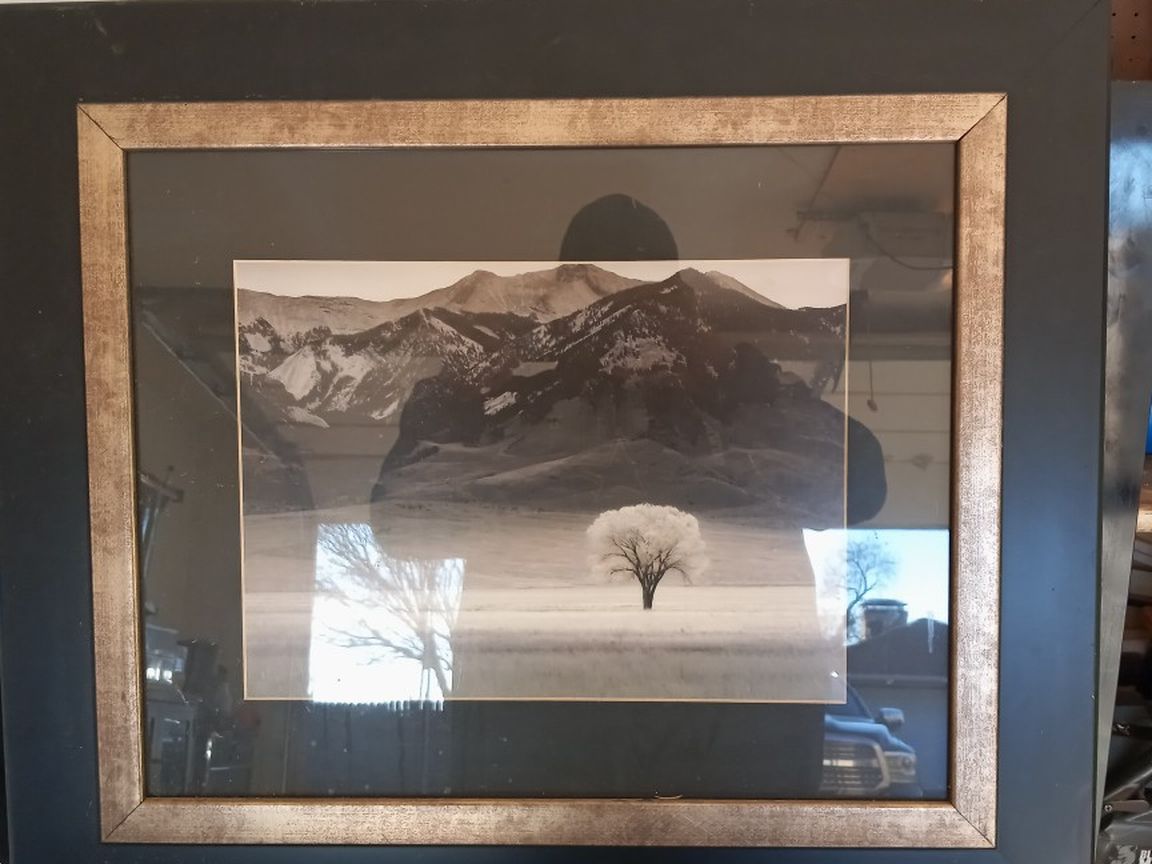 Picture Frame