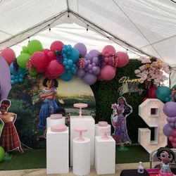 Encanto Setup Birthday Party