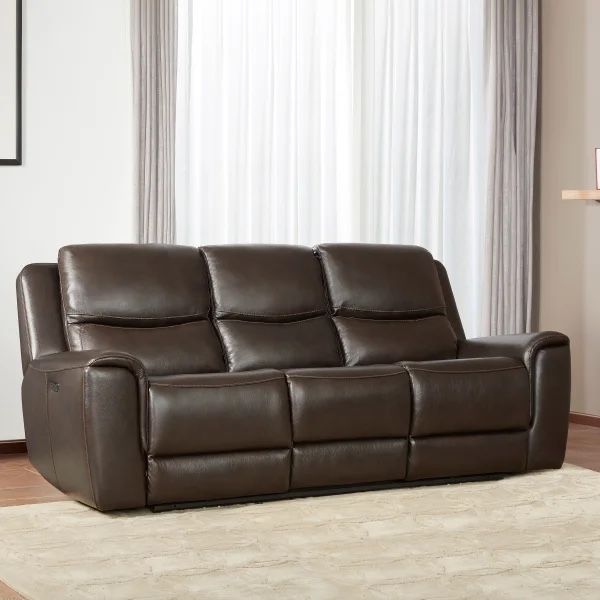Costco couch Carey Leather Power Reclining couchSofa with Power Headrests