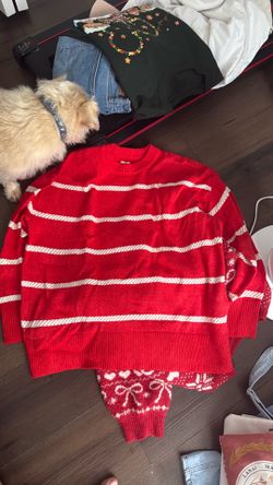 Aerie Red Stripped Sweater