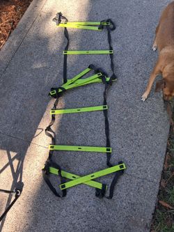 Agility Speed Ladder Training Equipment