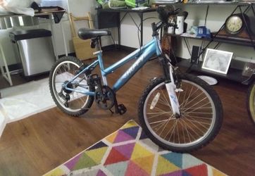 Mountain Bike