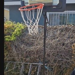 Basketball Hoop