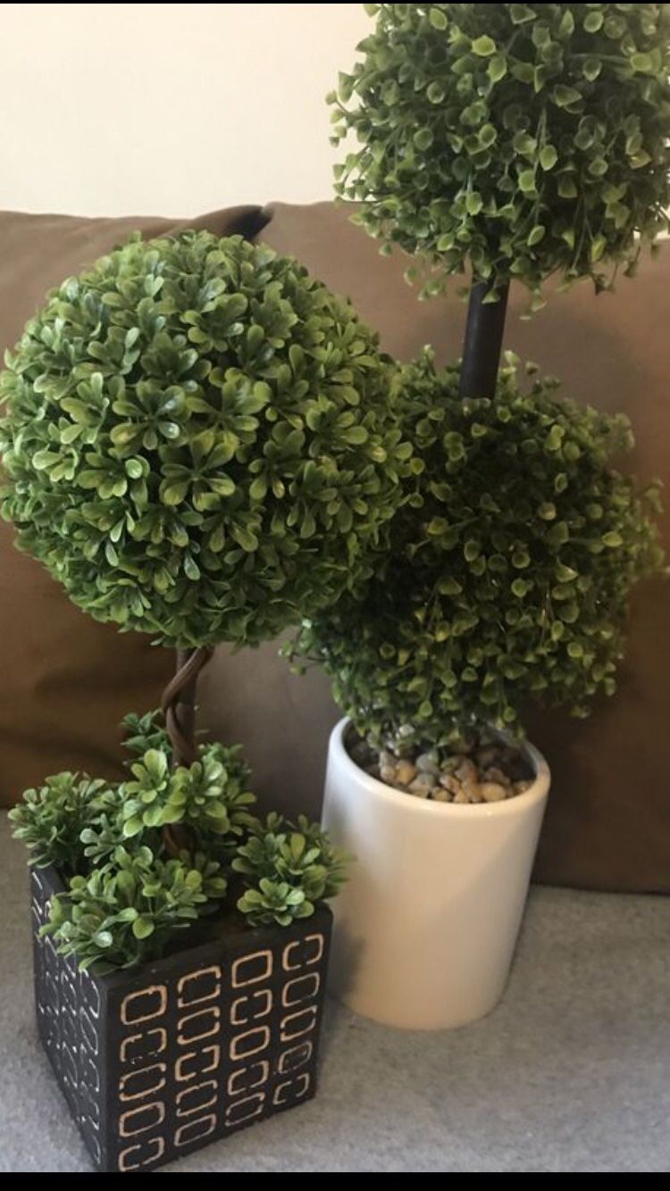 Trees