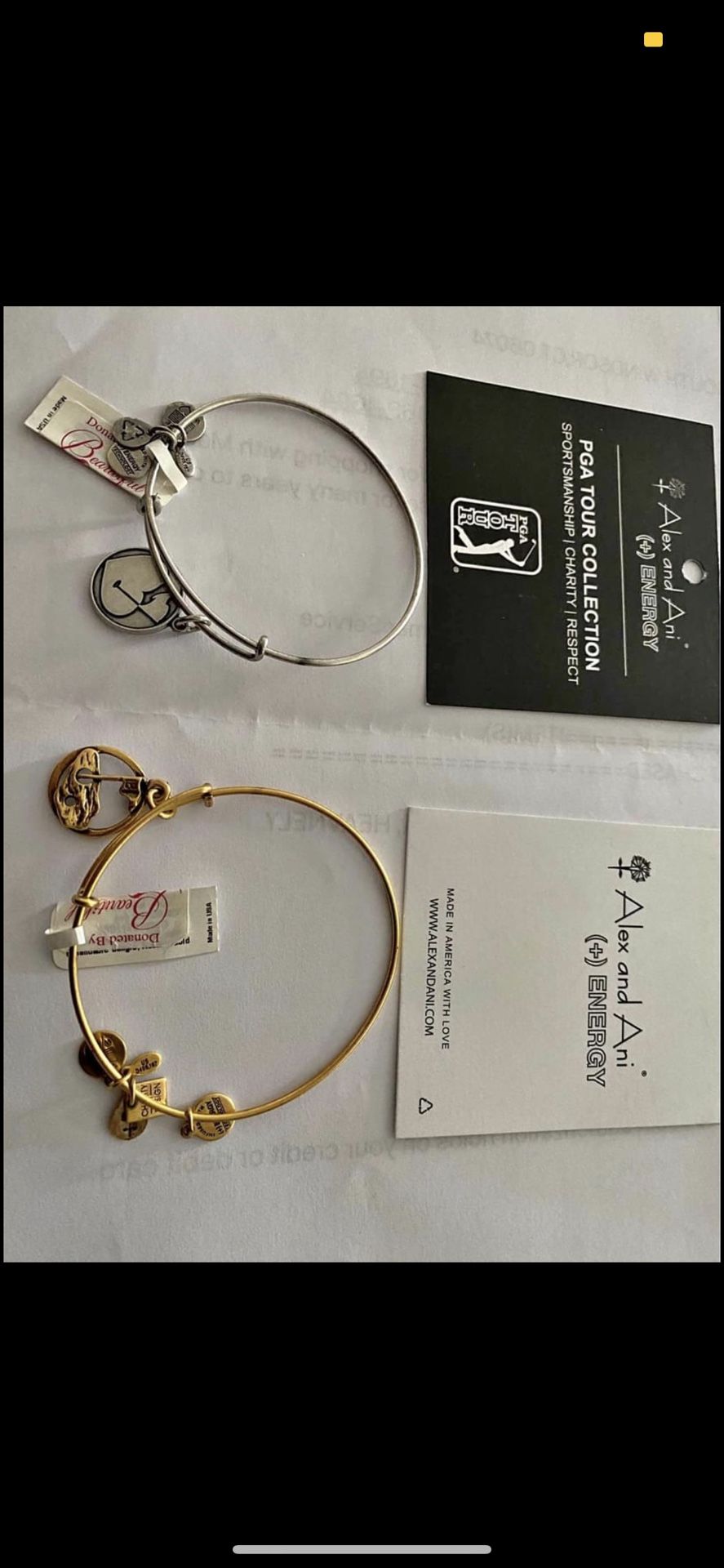 Alex and Ani (+) Energy