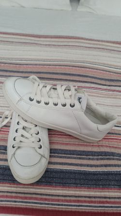 Coach Sneakers
