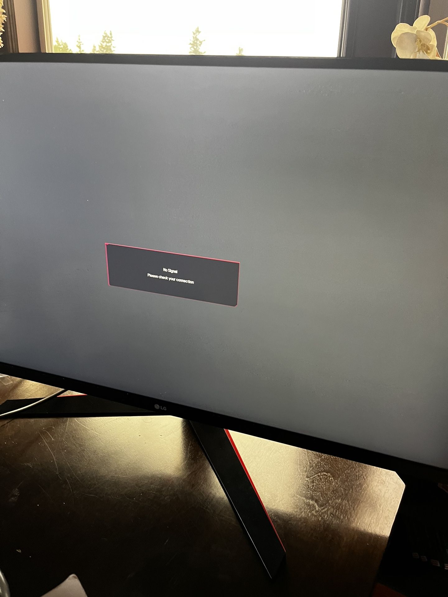 LG Ultragear Gaming monitor