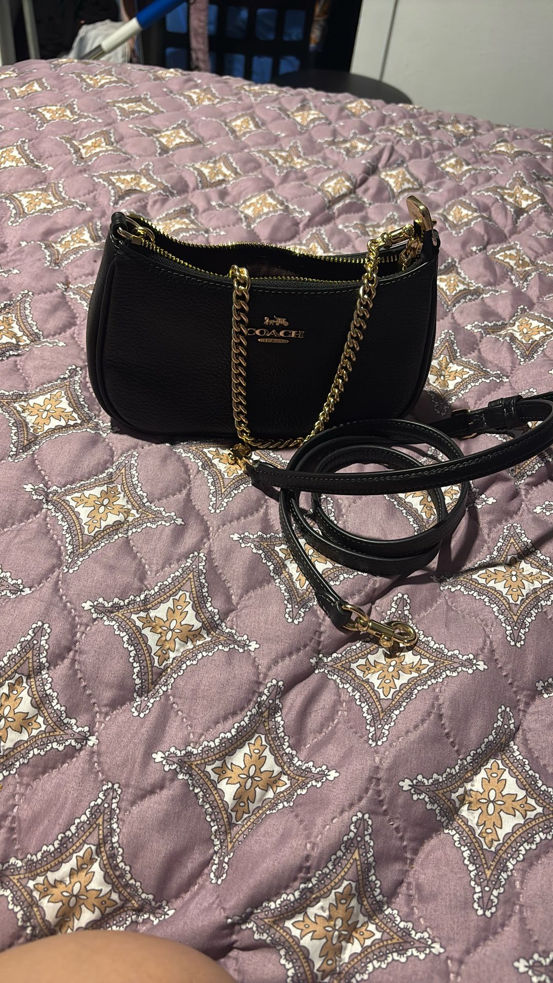 Coach Teri Mini Crossbody Bag