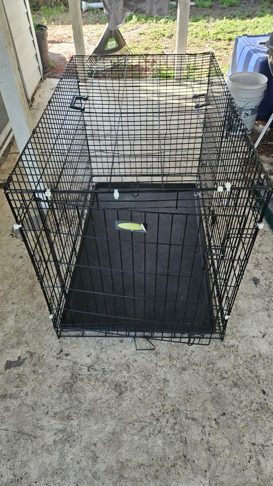 Large dog crate