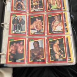 WCW CARDS (1991) (175 cards) 