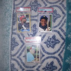 PSA All Graded 