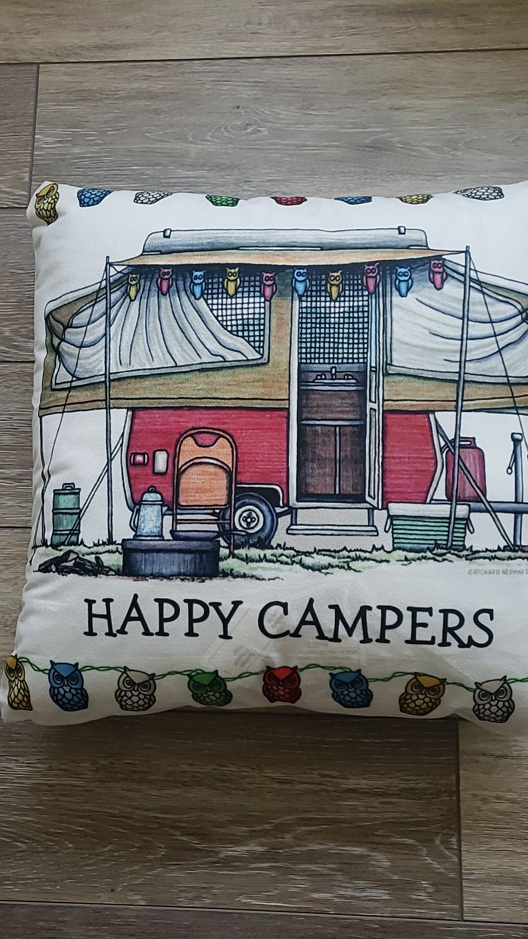 Accent pillow pop up campers edtion