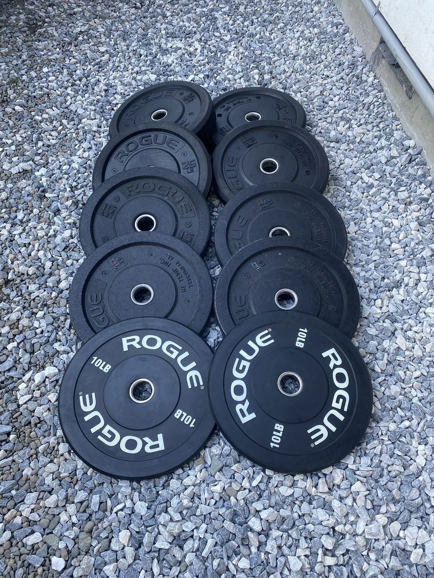 Rogue Bumper Weights
