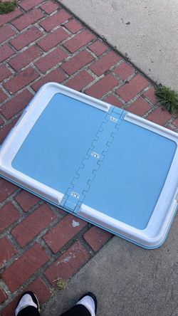 Dog training tray