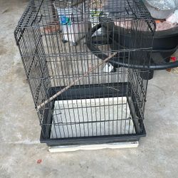 Large Bird cage