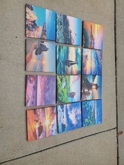 12 Landscape/Beach Themed Canvases 