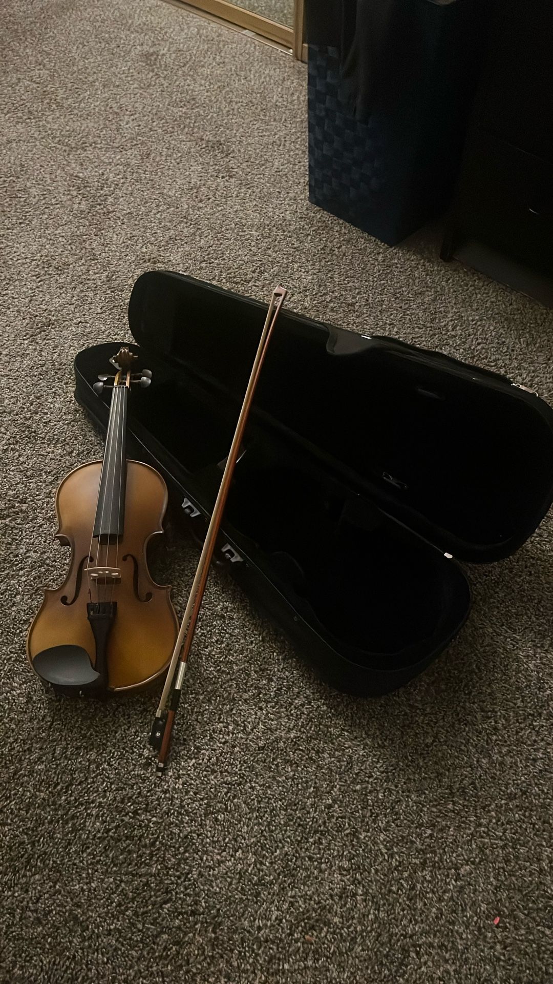 Stagg 4/4 Violin (Everything included In The Photos)