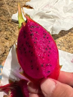 $7/lb my third dragon fruits harvested