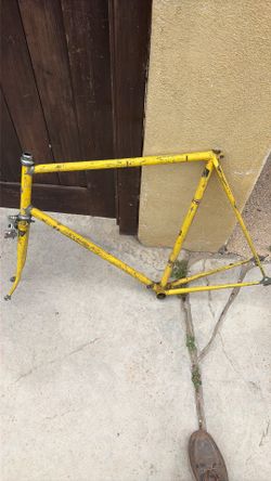 Mid 70’s Schwinn Paramount Road frame