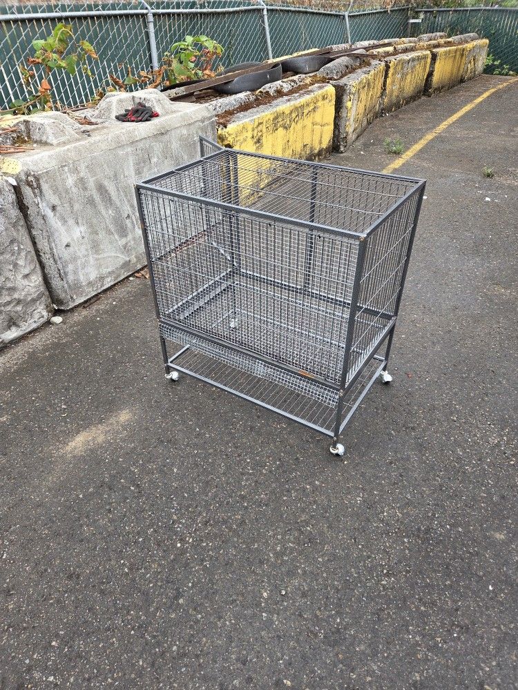 Bird Cage (30")