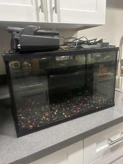 10 Gallon Fish Tank w/ Accessories