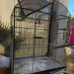 Bird Cage