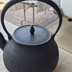 Cast Iron tea Pot