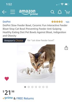 Slow Feeder Bowl - READ DESCRIPTION