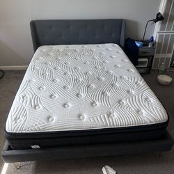 Queen size matters