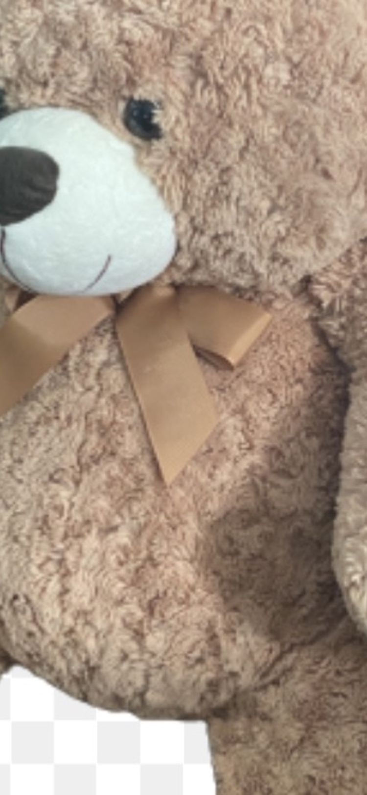 Stuffed Animal Bear