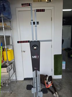 Maxi Climber