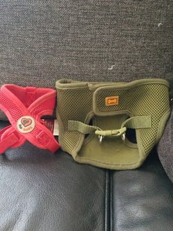 Pet Dog Harness
