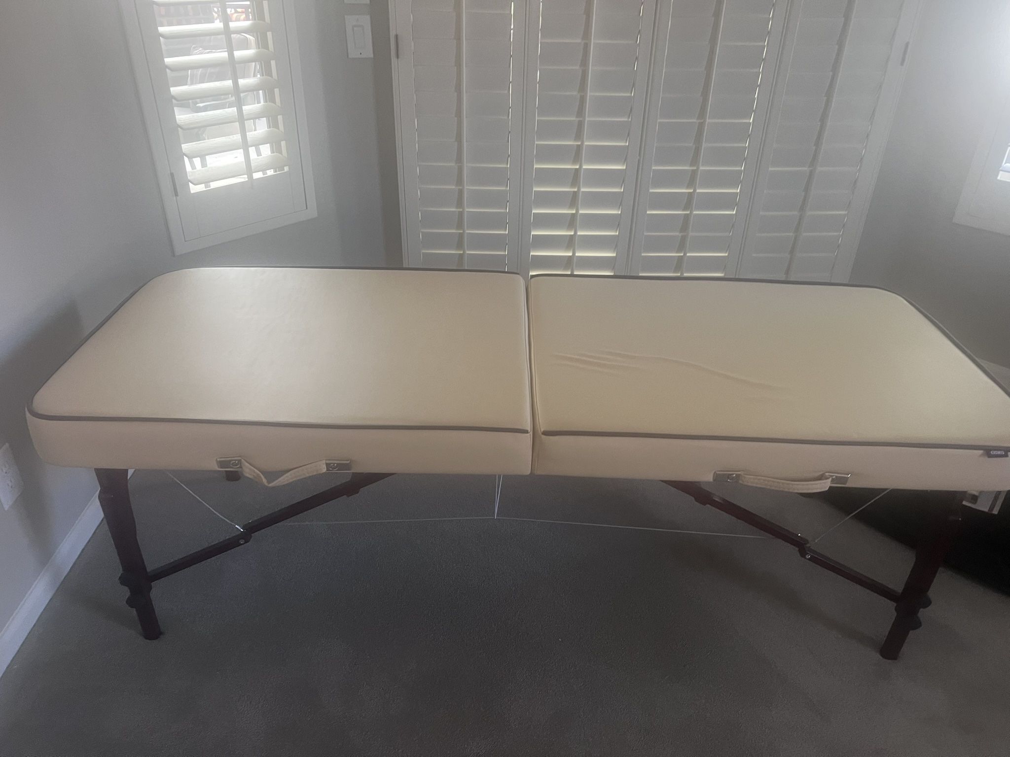 Like New Massage Or Pt Table With Attachments Cover And Case