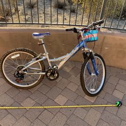 Trek MT220 Mountain Bike Silver Blue