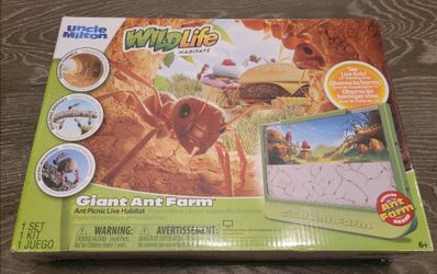 Kids Ant Farm