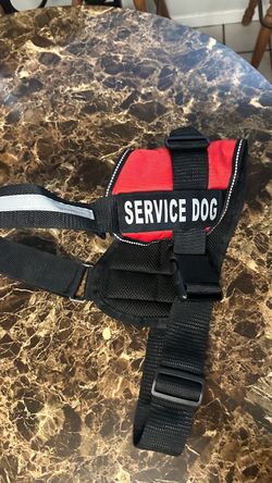 Dog harness