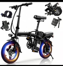 Electric bike