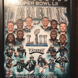 Eagle Super Bowl Framed Picture