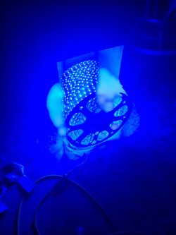 LED Lights on Rope Color Blue 5050-110V -60P, 8mm/T Blue Qty 100meters