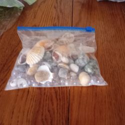 Shells And Beads