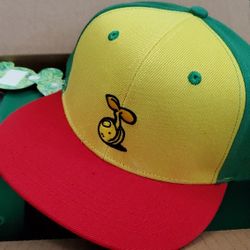 New Resta Seedless Snap Back Hat