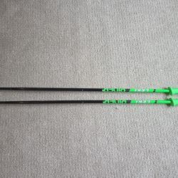 Leki Rider Ski Poles, 39" Long Each